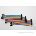 20 cm FF 40p Dupont Breadboard Ribbon Fil